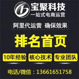 阿里巴巴代運營